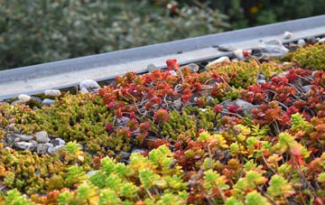 the cost of Madderty green roof installation