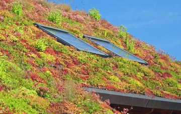 Madderty living roof systems