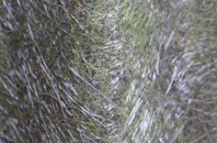 Madderty fibreglass roof work